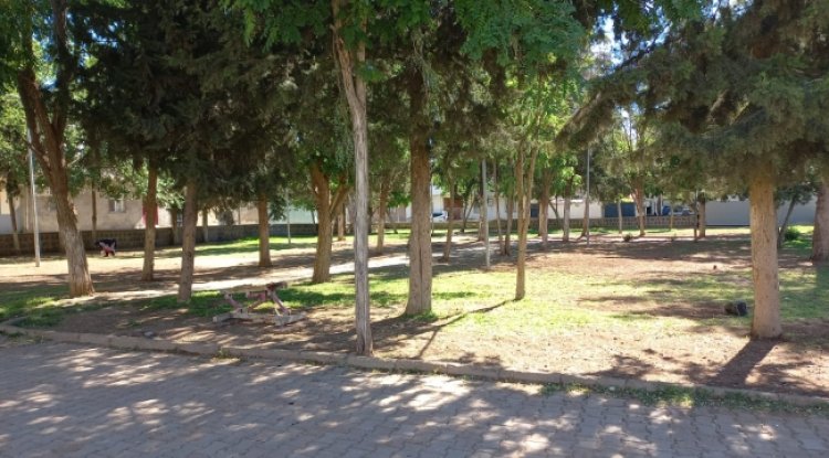 Viranşehir Belediyesi parkları yaza hazırlıyor