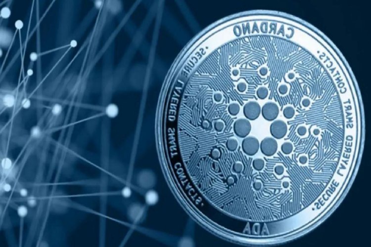 Cardano Topluluğu, Sosyal Medyada Hızlı Büyüme Gösteriyor