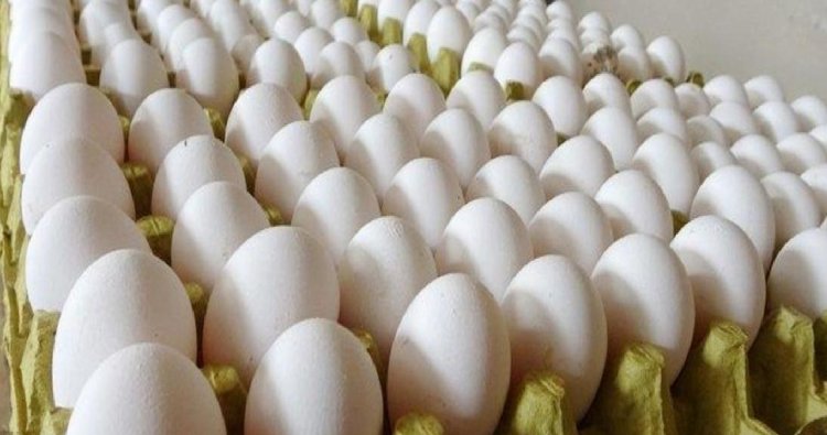 Son Dakika! Rekabet Kurumu, yumurta sektörüne yönelik 2 ayrı soruşturma başlattı
