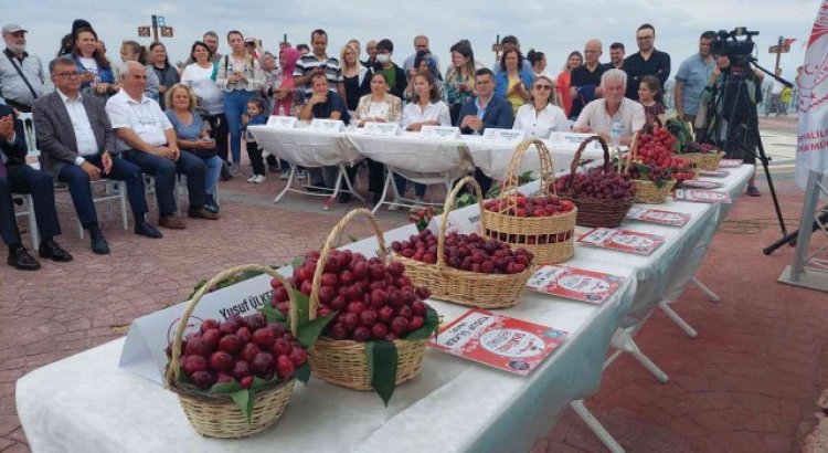 Tekirdağda kiraz güzellik yarışması düzenlendi