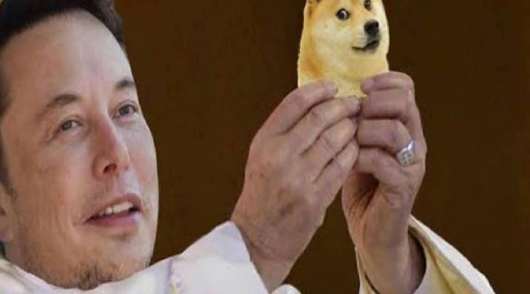 Elon Musk: Dogecoin’i (DOGE) Desteklemeye Devam Edeceğim
