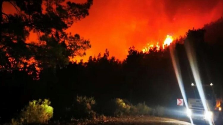 Marmaris’teki yangın neden çıktı? Bakan Kirişçi, sabotaj ihtimalini güçlendiren iki detayı paylaştı