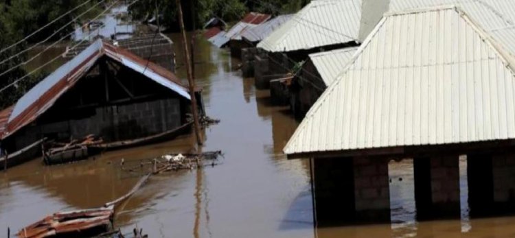 Nijerya’daki şiddetli yağışların ardından bir nehirde 15 kişinin cesedi bulundu