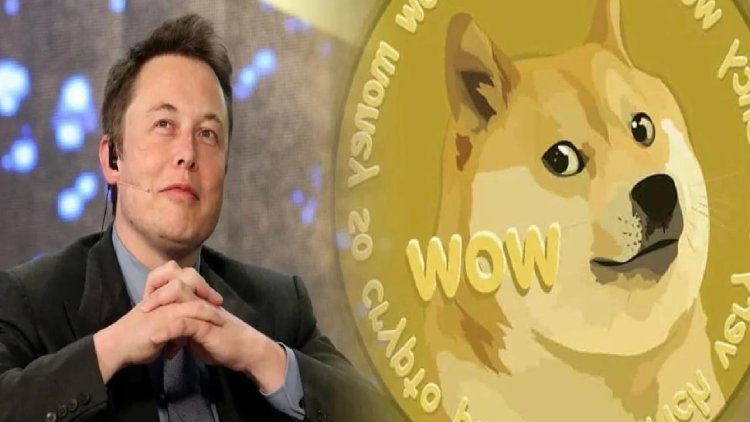 Elon Musk’a Açılan Dogecoin Davasına Yeni İsimler Katıldı