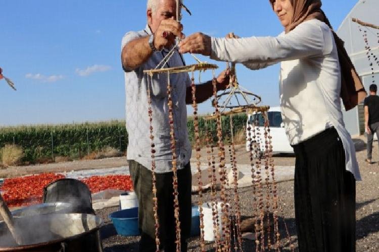 Şanlıurfa’da kadından üretime büyük katkı