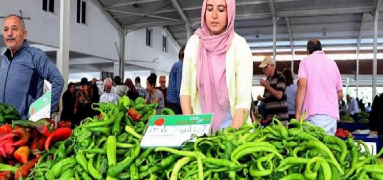 Kayseri bereketli bir organik dönemi geçirdi