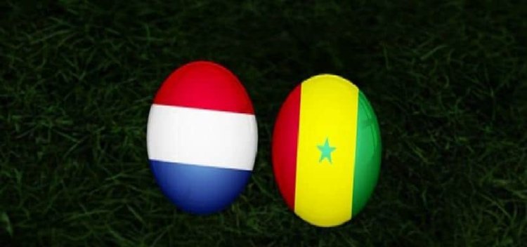 Senegal – Hollanda maçı ne vakit, saat kaçta ve hangi kanalda? | Dünya Kupası