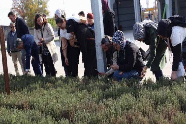 Kocaeli’de aromatik bitki kurslarına ilgi arttı