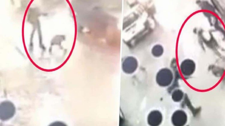 İstanbul’da ağızlıksız gezdirilen pitbull, okula giden 10 yaşındaki çocuğa saldırdı! O anlar kamerada
