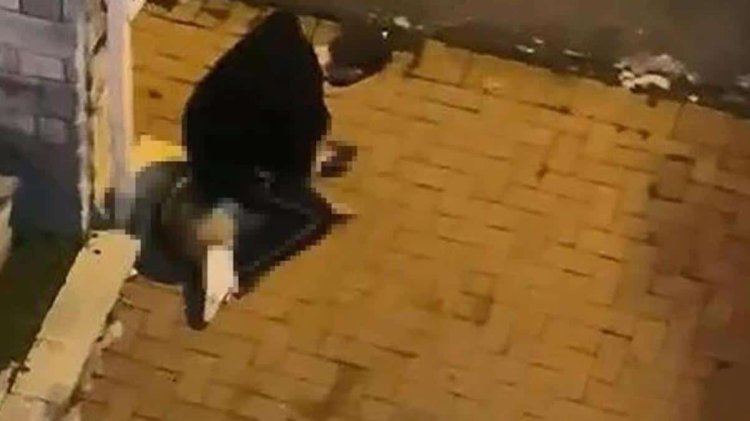 Konya’daki vahşetin akabinde kan donduran bir imaj de İstanbul’da kaydedildi! Köpeği boğmaya çalıştı