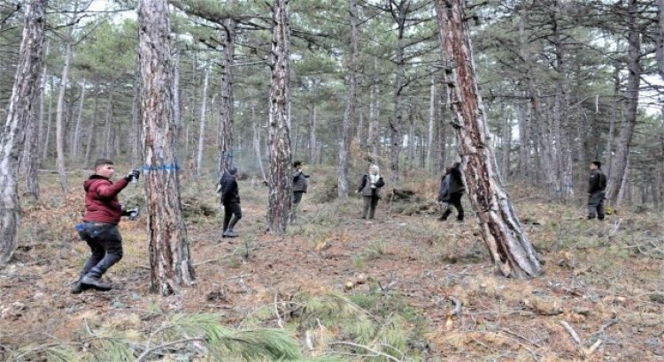 Altıntaş Akbayır Orman İşletme Şefliğinde uygulamalı tatbikat