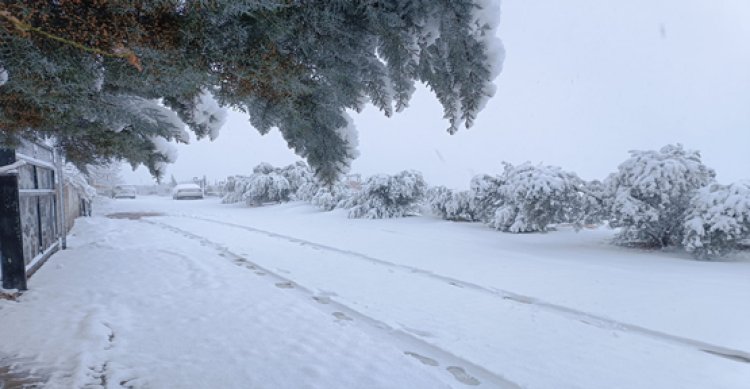 Şanlıurfa&#039;da kar manzaraları büyüledi
