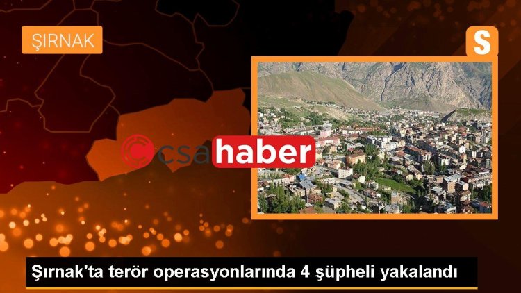 Şırnak’ta terör operasyonlarında 4 şüpheli yakalandı