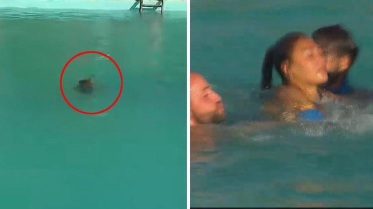Survivor’da yürekler ağza geldi! Havuza düşen yarışmacı sudan çıkamadı