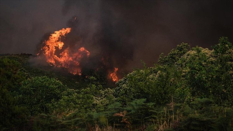 İspanya’daki orman yangını 5. gününde devam ediyor