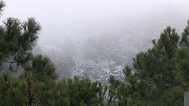 İstanbul’da kar: Aydos Ormanı beyaza büründü