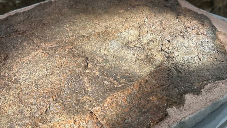 İznik’te bir ilk! 8 bin yıllık ayak izi sergilendi