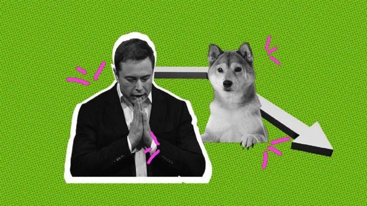 Elon Musk Açıklama Yaptı: DOGE Aniden Hareketlendi!