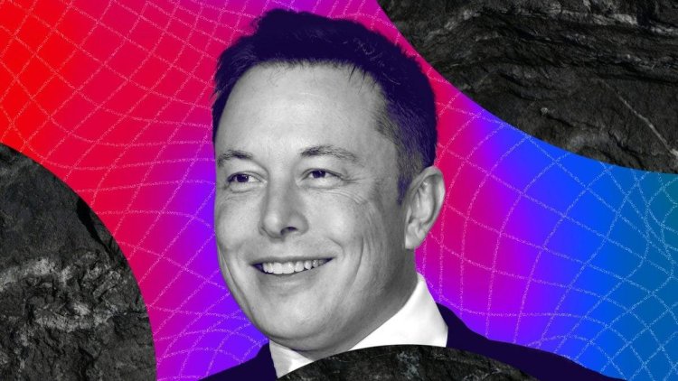 DOGE Değil: Elon Musk Tweet’i, Bu Popüler Meme Coin’i Uçurdu!