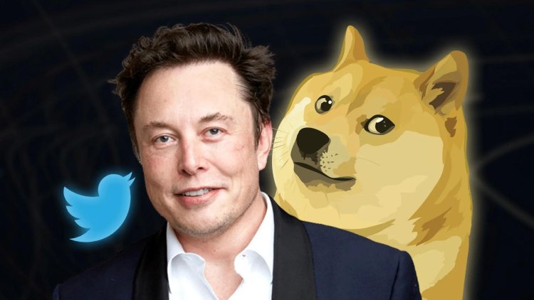 İşte Elon Musk’ın Dogecoin İle Ne Kadar Kazandığı