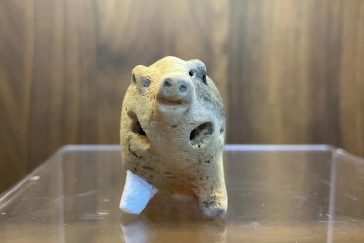 Çin’de 6000 yıllık domuz şeklinde çömlek parçası bulundu