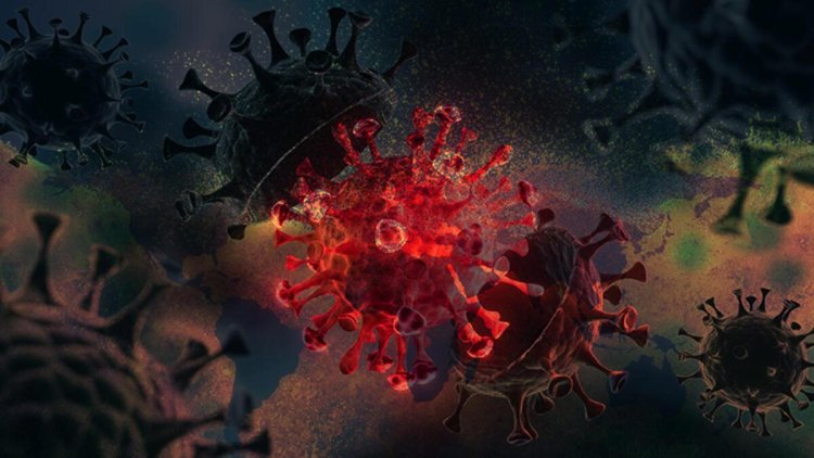 Yıllar sonra açıklandı… Dünya koronavirüs ifşasını konuşuyor!
