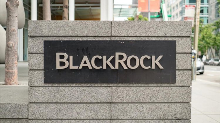 BlackRock ETF Haberi Ne Kadar Etkili? Santiment Cevapladı…