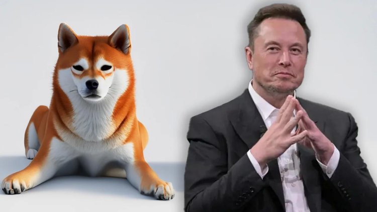 Elon Musk, Dogecoin Hakkındaki İddiaları Yalanladı!