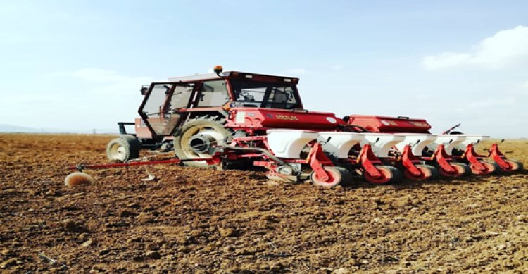Şanlıurfa’da Buğday hasadın ardından ikinci ürün olarak Mısır ekimi başladı