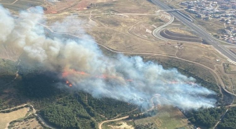 İzmir'de yangın: 6 uçakla yangına müdehale ediliyor