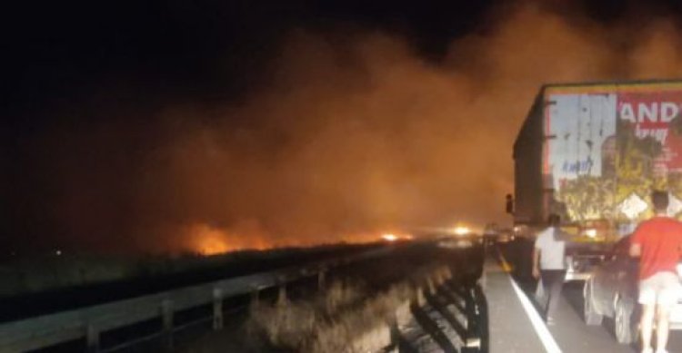 Şanlıurfa&#039;da anız yangınları yol kapattı