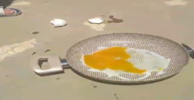 Şanlıurfa’da bir çocuk, güneşin altına koyduğu tavada yumurtayı anında pişirdi