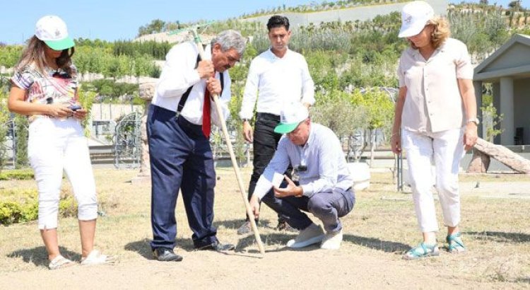 Hatay'da Akkonak buğdayı yetiştirme projesi başlatıldı