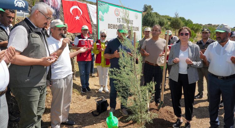 Demokrasi Kahramanları Anısına 251 Fidan Toprakla Buluştu