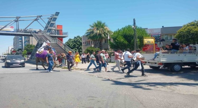 Aydında deve kültürü her alanda yaşatılıyor