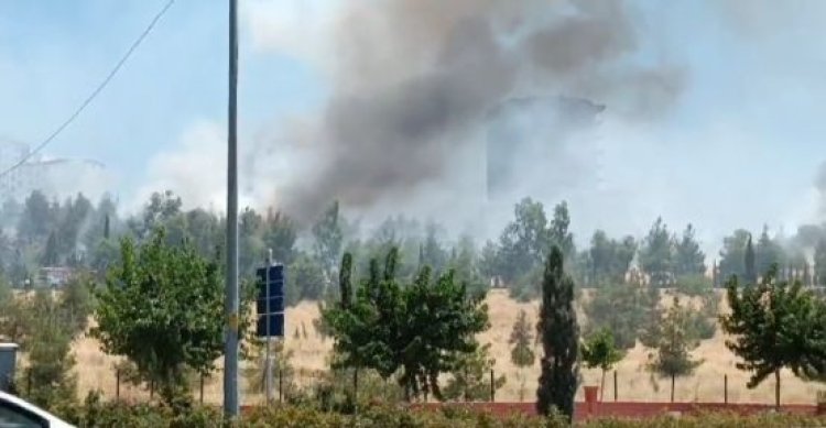 Karaköprü&#039;de orman yangını