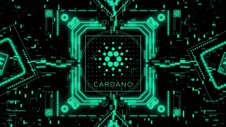 ‘İzleme Listesine Giren’ Cardano Coinler Bunlar!