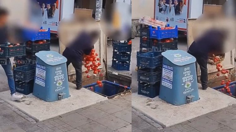 Flaş! Pendik’te kasa kasa domatesi çöpe döken markete Ticaret Bakanlığından ceza