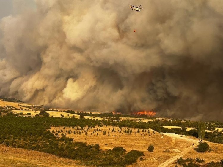 Çanakkale Yangınında Son Durum