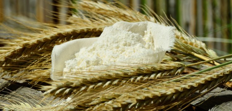 TOBB resmi buğday ve arpa alım fiyatları açıklandı! Buğday ve arpa alım fiyatlarında düşüş başladı