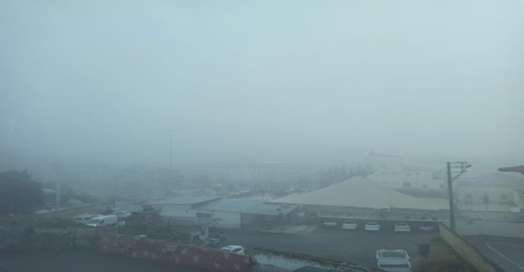 Şanlıurfa&#039;da yoğun sis etkili oldu