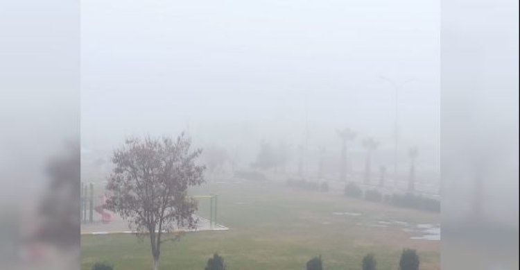 Viranşehir&#039;de yoğun sis etkili oldu